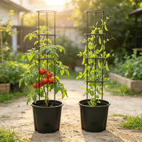 Jardinière en plastique à arrosage automatique, pots de fleurs auto-arrosants avec supports de croissance pour tomates