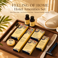 Kit d'Accueil Hôtelier : Shampoing, Gel Douche, Bonnet de Douche, Trousse de Toilette, Trousse de Couture, Peigne, Jetables, Logo Personnalisé OEM, Chambre d'Hôtes