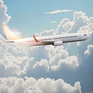 De concurrentievoordeel: luchtvrachtlogistiek in het Midden-Oosten voor de integratie van de wereldwijde handel - Product Image 2