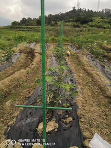 Profil de pultrusion composite en FRP, finition lisse, léger, pultrusion en FRP, résistant à la corrosion, tube rond en fibre de verre - Product Image 2