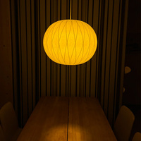 Ampoule LED à spectre complet E27 E26 E14 Rouge Ambre Mixte Anti-lumière bleue A60