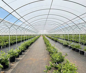 Huike Good Quality clear Uv Protected <strong>Etfe</strong> <strong>Greenhouse</strong> Film Plastic for <strong>Greenhouse</strong> - Product Image 2