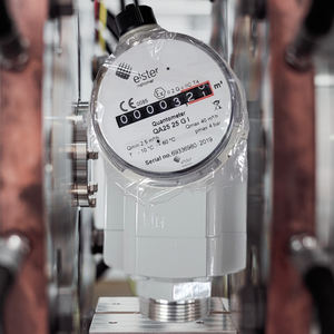 Honeywell Elster Qa25 Pn4 Compacte Aardgasmeter 25gi Handel Methaan Massa Flowmeter Dn25 Met Oem Maatwerk Ondersteuning - Product Image 2