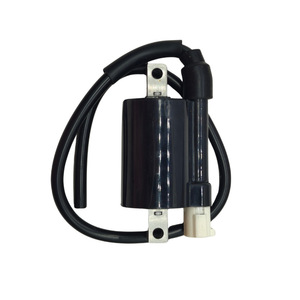 Bobine d'allumage Jilong pour moto monocylindre Bajaj175, pièce de rechange - Product Image 2