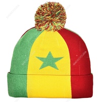 Nouveau bonnet tricoté avec drapeau sud-africain pour femmes et hommes, bonnet à pompon, bonnet d'hiver chaud, doux, extensible, pas cher, vente en gros personnalisée