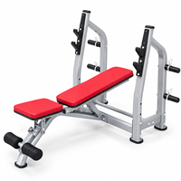Rak Bench Press Besi Multifungsi Profesional Lipat untuk Barbell, Peralatan Fitness Gym, Penggunaan Rumah & Komersial