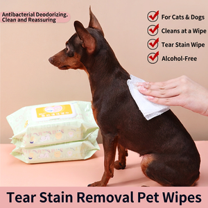 Toallitas Húmedas para Mascotas, 80 Unidades, Fórmula Suave para Perros, Sin Perfume, Tela No Tejida, Dropshipping - Product Image 3