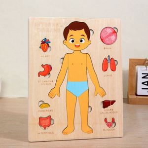 Puzzle en bois d'anatomie humaine, ensemble de jeu éducatif de la structure du corps humain, jouet de dessin animé DIY pour enfants - Product Image 5