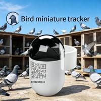 Mini traceur GPS en temps réel pour oiseaux, étanche, bague pour pigeon, réseau 4G GSM, localisateur de trajectoire Android/iOS, en plastique durable, LBS