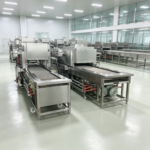 Macchina Depilatrice a Doppio Bruciatore per Linee di Lavorazione di Grandi Carcasse di Suini - Product Image 1