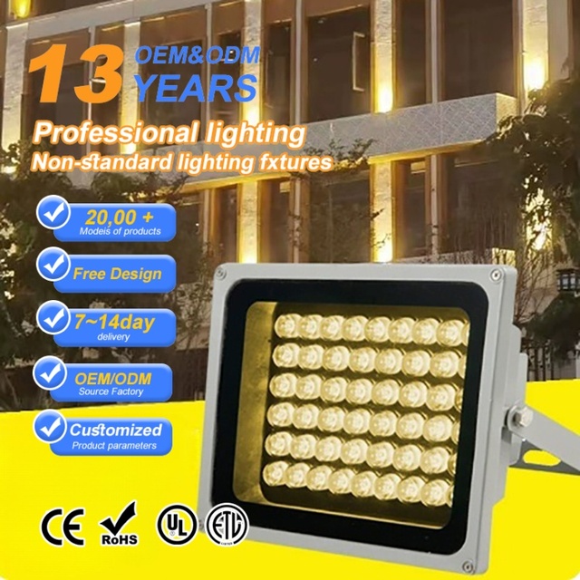High Power RGB 30W IP67 Waterproof Aluminum Body SMD LED Flood Light with ROHS Certification for Park & Garden Decoration OEM