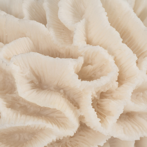 Scultura in resina a forma di petalo di corallo per decorazioni domestiche, ornamento costiero, bagno, ufficio, soggiorno - Product Image 4