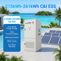 Sistema de Almacenamiento de Energía Industrial y Comercial VANYO de 261 kWh, Contenedor BESS, Batería de Litio Solar, Gabinete para Exteriores