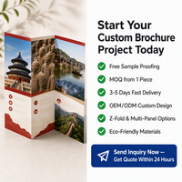 Service d'impression de brochures professionnelles personnalisées pour entreprises, brochures de présentation tri-pliées découpées, impression couleur intégrale