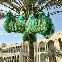 Direct van de fabriek: op maat bedrukte groene dadelpalmgaas zakken met PE-materiaal voor industriële landbouw en fruitverpakkingen