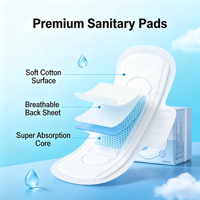 Serviettes hygiéniques féminines en coton respirant avec ailettes, personnalisables, fournies par l'usine, protège-slips jetables super absorbants et secs