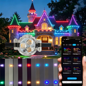 Contrôleur Wi-Fi programmable IP68 pour lumières à points de pixels en pierres précieuses, 12V 24V, pour décorations de Noël permanentes sur les avant-toits - Product Image 1