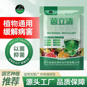 Kinritsusei Bacillus subtilis, haute activité de fixation de l'<span class=keywords><strong>azote</strong></span>, racines fortes, traitement de la pourriture racinaire, traitement de la compactation du sol - Product Image 2