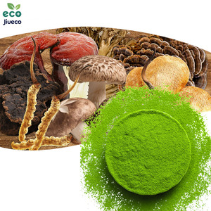 OEM/ODM Private Label Wholesale Mushroom Matcha Ceremonial <b>Powder</b> Food Grade Leaf Vegan Drum Vacuum Packed Phytosterols Bottle - Product Image 4