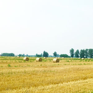 Balle Ballennetz Rete ที่ย่อยสลายได้ทางชีวภาพ,ตาข่ายคลุม Balle Bale ตาข่ายฟีดหญ้าแห้งแบบช้า100% - Product Image 4