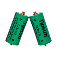 Cellule LiFePO4 Tipsun 32700 3.2V 7000mAh, capacité ultra-élevée, sortie stable, batterie rechargeable