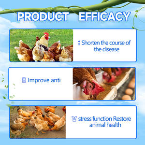 เร่งการเติบโตอย่างรวดเร็วสำหรับสุกรวิตามินเสริมในรูปแบบผงสำหรับลูกหมูม้าแกะน้ำหนักเพิ่ม - Product Image 3