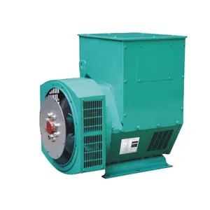 Alternatore senza spazzole ac stamford 20/30/40/50/100 /200 testa del generatore alternatore senza spazzole ad alta efficienza Brushless 3 fasi basso