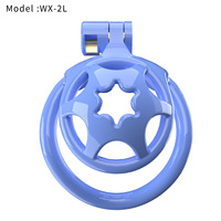 LOVE Jouets sexuels masculins Petit dispositif de chasteté masculin Cage à bite en laiton avec 5 anneaux de taille Cage de chasteté érotique urétrale pour produits SM