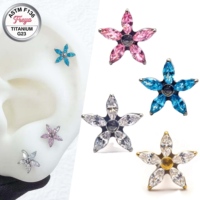 G23 ASTM-F136 Titanium Zircon Ear Stud Starfish Piercing Earrings Tragus Helix Daith Lobe Flat Back Lip Labret Piercing Jewelry