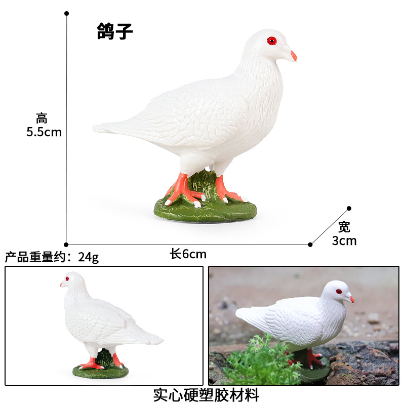 M-2775 White Dove