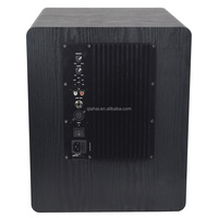 Subwoofer actif BW08 de 8 pouces, 250 W RMS, 500 W de puissance maximale, en contreplaqué, portable pour discothèque, karaoké, bar, DJ, maison et événements en plein air