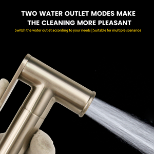 उच्च गुणवत्ता वाले आधुनिक डिजाइन बाथरूम पीतल एकल हैंडल दीवार पर गर्म/ठंडा पानी हैंडहेल्ड ब्रश निकल खत्म शटफ बिडेट - Product Image 4