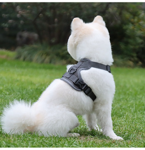 Hochleistungs-Anpassung <span class=keywords><strong>Nylon</strong></span> Haustier Geschirr Leinen-Set Designer einstellbar 2 in 1 einziehbare Hundebinde Leine - Product Image 4