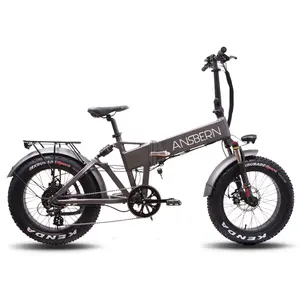 2020 中国安斯伯恩新到 ce认证折叠电动自行车 750W 20 英寸全悬架山脂轮胎 E 自行车