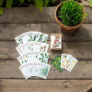 Collezione di fiori selvatici carte da gioco illustrazioni botaniche Vintage fioriture colorate giardino bellezze Delicate fiori da campo di carta - Product Image 6