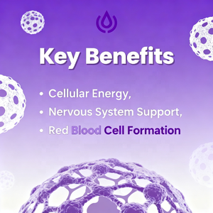 Multi orgânico da vitamina B em 1 gotas líquidas com suplemento líquido da absorção rápida da vitamina B1 B6 B12 fornecendo a energia - Product Image 3