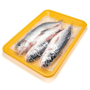 Bandeja Desechable de PP de Grado Alimenticio Personalizable con Proceso de Blister para Envasado de Carne, Alimentos Frescos Congelados y Uso en Microondas - Product Image 1