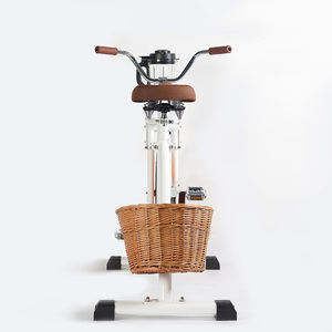 EXI白色混音器斩波器固定观光派对自行车 - Product Image 5