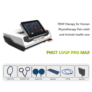 Professional PEMF Therapy Machine s Horses Magnetic Pulse Device Pain Relief Rehabilitation Scraping Apparatus - Product Image 5