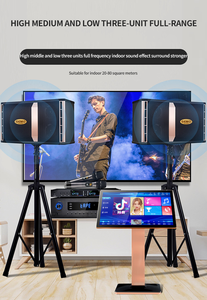 Sistema de Altavoces Profesional para KTV, Equipo de Sonido para Fiestas Familiares y en Cabina - Product Image 2