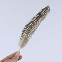 Plumes de poules-de-Inde teintées naturellement pour la décoration intérieure DIY et les mariages