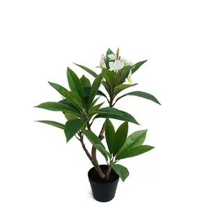 White Plastic Simulation Artificial Flowers And Trees 60cm Real Touch Frangipani Tree In Plastic Pot