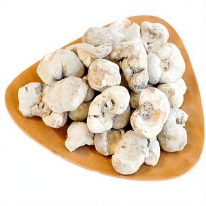 Poudre d'extrait de bulbe de <span class=keywords><strong>Thunberg</strong></span> Fritillary de haute qualité et à haute teneur 10:1, poudre de bulbe de <span class=keywords><strong>Thunberg</strong></span> Fritillary de qualité alimentaire - Product Image 3