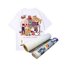 Film DTF Qinyu pour transfert thermique sur textiles, 30cm, 33cm, 60cm, 120cm, double face, décollement à chaud, pour solution d'impression de t-shirts