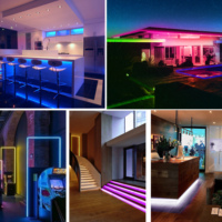 Tira de Luz LED COB de Alta Luminosidad Ultra Estrecha de 3 mm con USB IP20 Varios Colores DC5V/12V/24V para Decoración Interior de Parques Temáticos