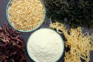 Poudre de Carraghénane Semi-Raffinée Gel/Épaississants <span class=keywords><strong>AQUAGEL</strong></span> MP-6826 Mélange/Composé - Product Image 3