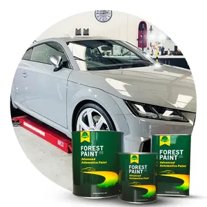 Forest Suppliers Car Paint Refinishing Excellent Clear coat Automotive Repair for Car China Spray Acrylic OEM Service