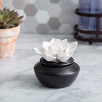 Diffuseur de fleurs en céramique fait main, diffuseur d'aromathérapie pour la maison, parfum d'air frais avec huile essentielle, utilisation sûre avec pot noir beige