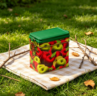 Boîte en fer blanc rectangulaire JH transparente et brillante avec couvercle à charnière pour le stockage du café, du thé, des fruits secs, du pain et de la gelée – Promotion Cadeau