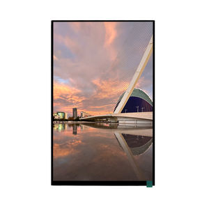 Pantalla LCD TFT de Alta Definición de 10.1 Pulgadas, Resolución de 800*1280, Interfaz MIPI, 300 Nits - Product Image 3